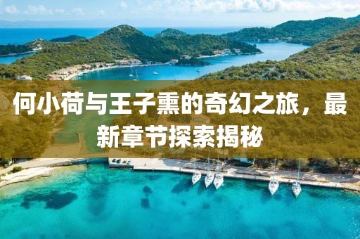 何小荷與王子熏的奇幻之旅，最新章節(jié)探索揭秘