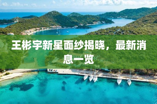 王彬宇新星面紗揭曉，最新消息一覽