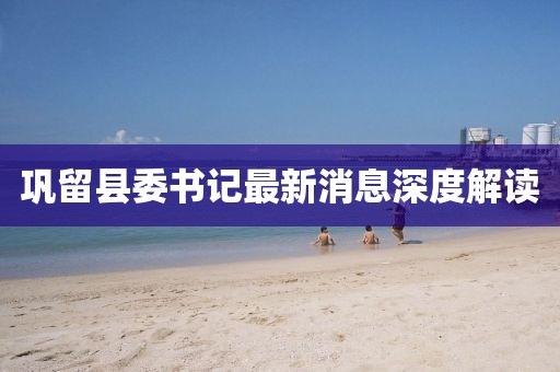 鞏留縣委書記最新消息深度解讀