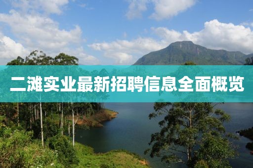 二灘實業(yè)最新招聘信息全面概覽