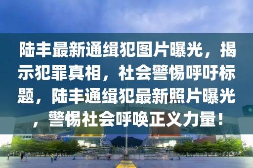陸豐最新通緝犯圖片曝光，揭示犯罪真相，社會警惕呼吁標題，陸豐通緝犯最新照片曝光，警惕社會呼喚正義力量！