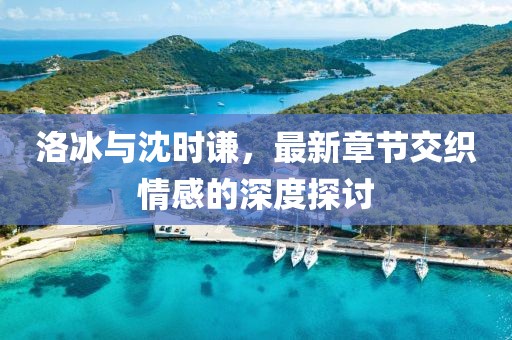 洛冰與沈時(shí)謙，最新章節(jié)交織情感的深度探討