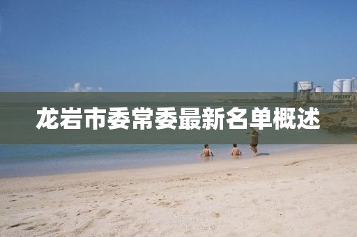 龍巖市委常委最新名單概述