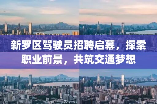 新羅區(qū)駕駛員招聘啟幕，探索職業(yè)前景，共筑交通夢(mèng)想