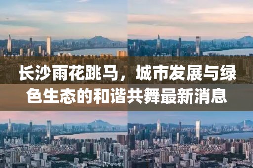 長沙雨花跳馬，城市發(fā)展與綠色生態(tài)的和諧共舞最新消息
