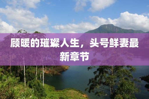 顧暖的璀璨人生，頭號(hào)鮮妻最新章節(jié)