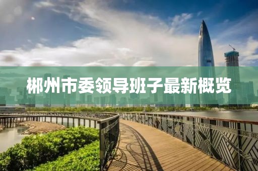 郴州市委領導班子最新概覽