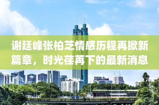 謝廷峰張柏芝情感歷程再掀新篇章，時(shí)光荏苒下的最新消息