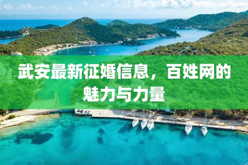 武安最新征婚信息，百姓網(wǎng)的魅力與力量