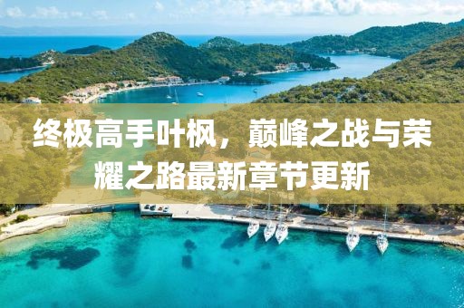 終極高手葉楓，巔峰之戰(zhàn)與榮耀之路最新章節(jié)更新