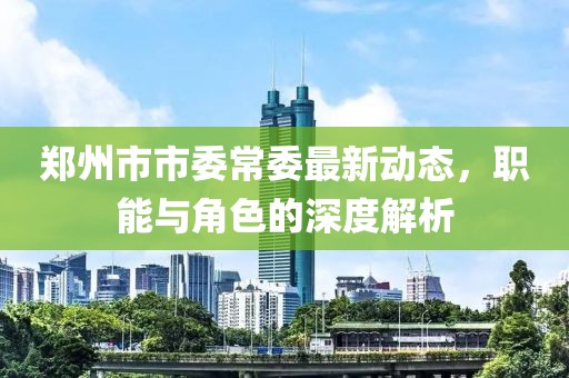 鄭州市市委常委最新動(dòng)態(tài)，職能與角色的深度解析
