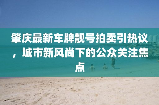 肇慶最新車牌靚號拍賣引熱議，城市新風尚下的公眾關注焦點