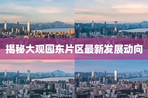 揭秘大觀園東片區(qū)最新發(fā)展動向