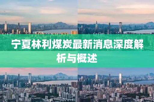 寧夏林利煤炭最新消息深度解析與概述