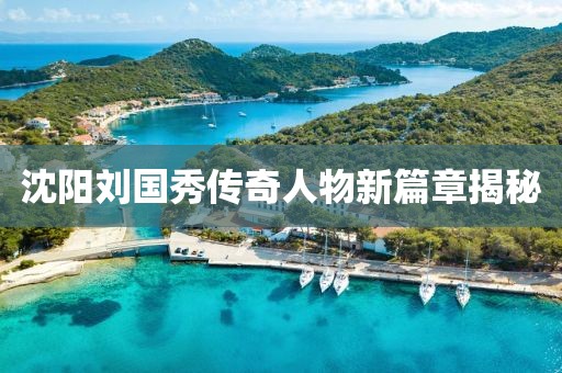 沈陽劉國秀傳奇人物新篇章揭秘