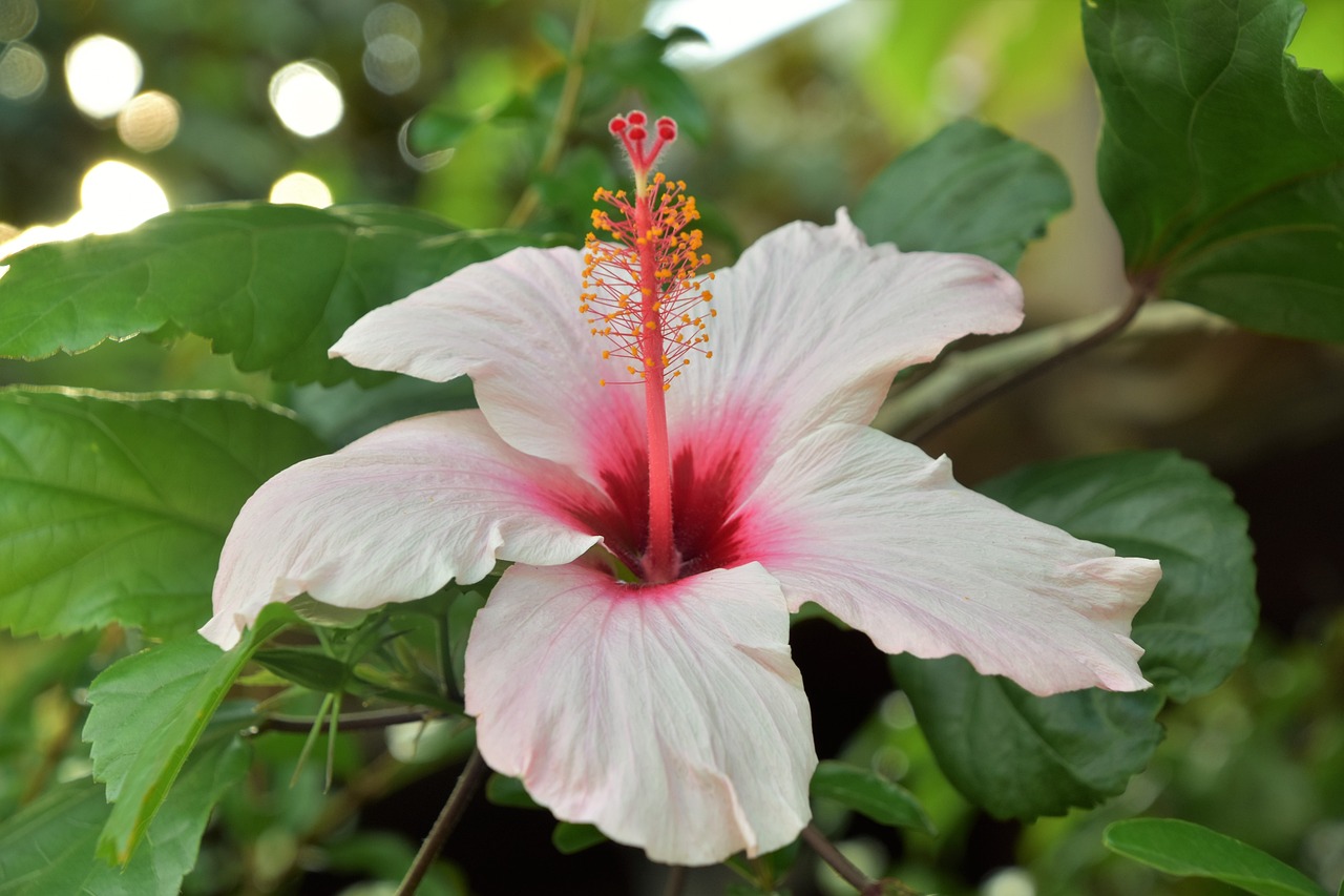 濟寧南風(fēng)花園最新動態(tài)更新，濟寧南風(fēng)花園最新概況