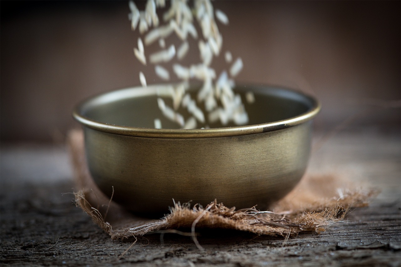日照未來(lái)城最新動(dòng)態(tài)，城市發(fā)展的輝煌新篇章