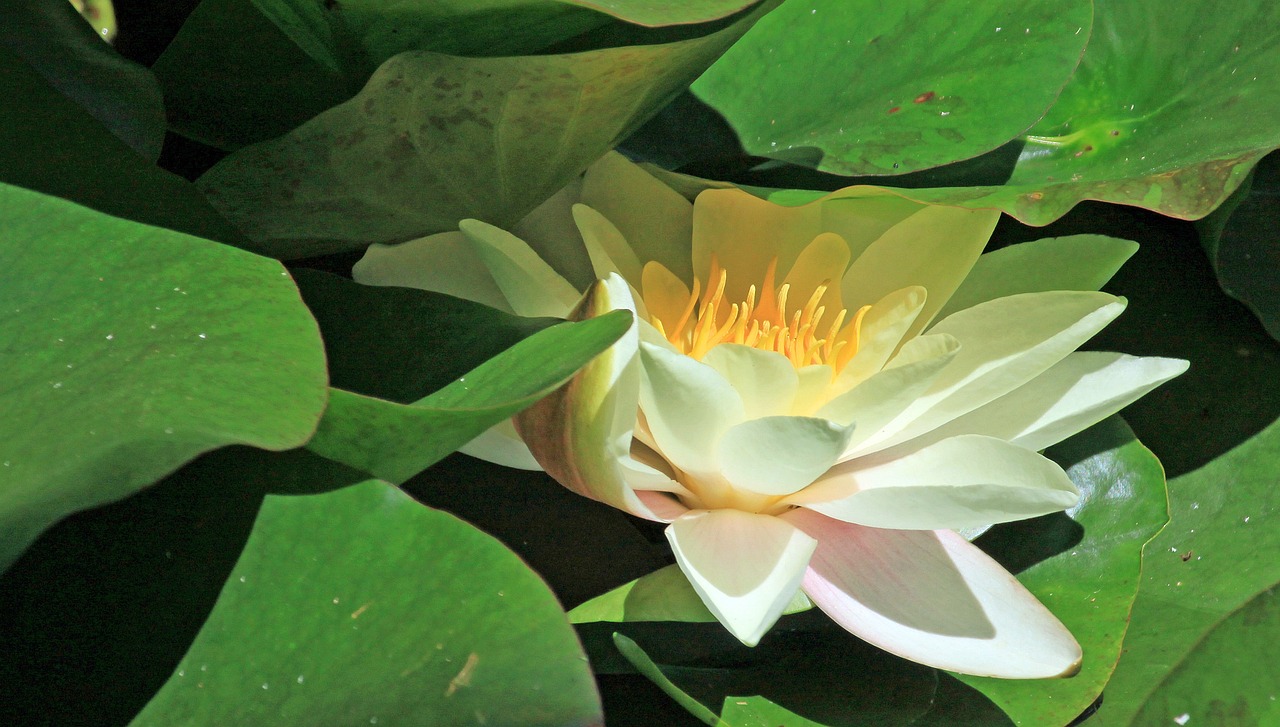 江門瓏湖灣未來繁華啟幕，最新動態(tài)揭示未來發(fā)展新篇章