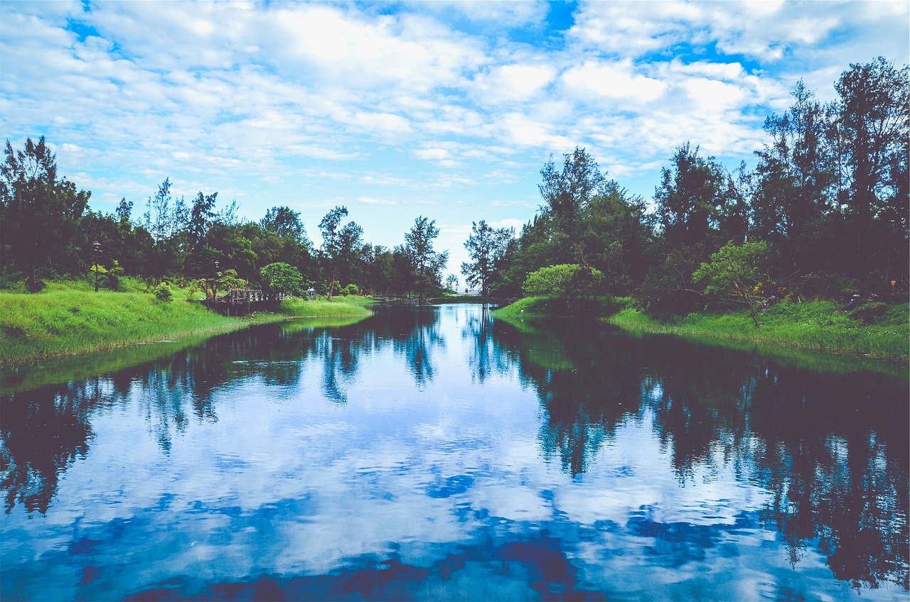 韓國(guó)薩德最新動(dòng)態(tài)，全球關(guān)注下的焦點(diǎn)事件分析視頻揭秘最新消息