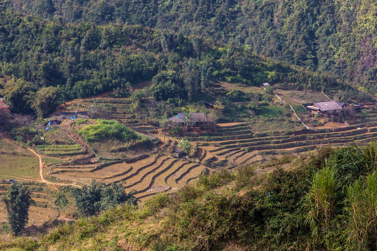 符離鎮(zhèn)最新規(guī)劃圖揭曉，展望繁榮未來，符離鎮(zhèn)2016規(guī)劃展望