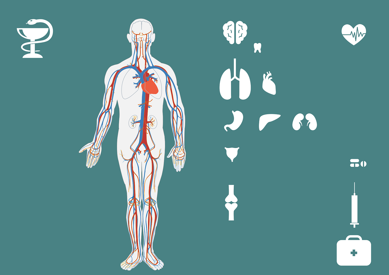 急診搶救流程圖優(yōu)化，提升搶救成功率與急救服務(wù)質(zhì)量