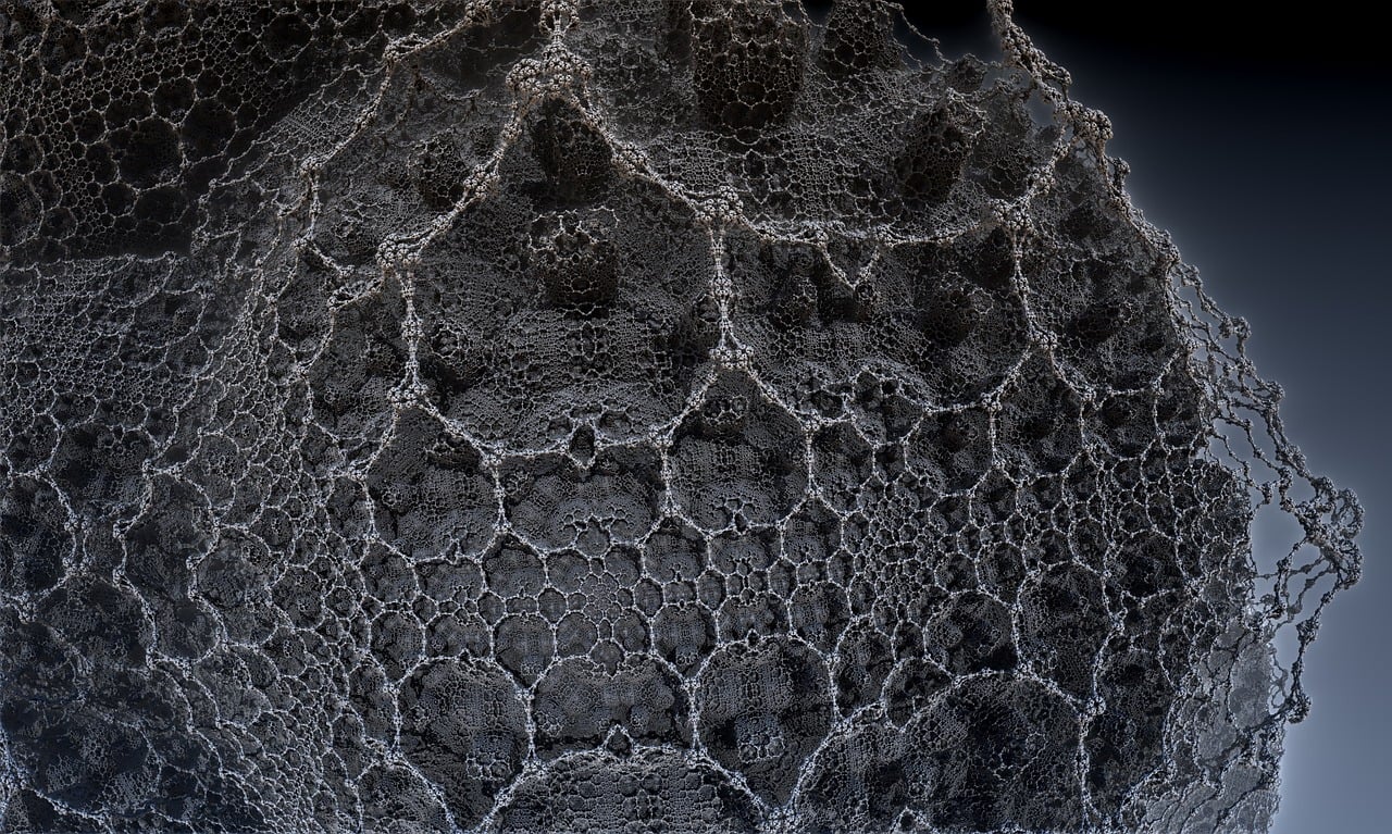 遼寧隋顯利最新動態(tài)，傳奇人物的嶄新篇章