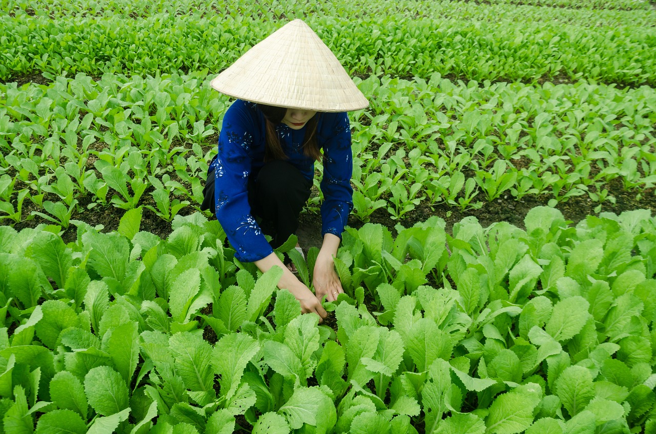 甬金鐵路最新動(dòng)態(tài)，嵊州發(fā)展與鐵路聯(lián)動(dòng)推進(jìn)