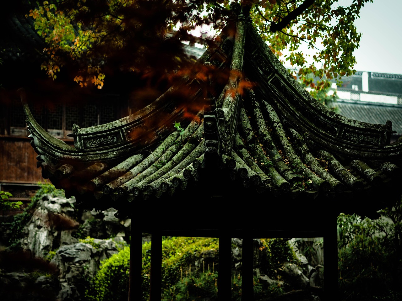 中國(guó)女排隊(duì)蓄勢(shì)待發(fā)，展現(xiàn)新篇章，最新消息與動(dòng)態(tài)速遞