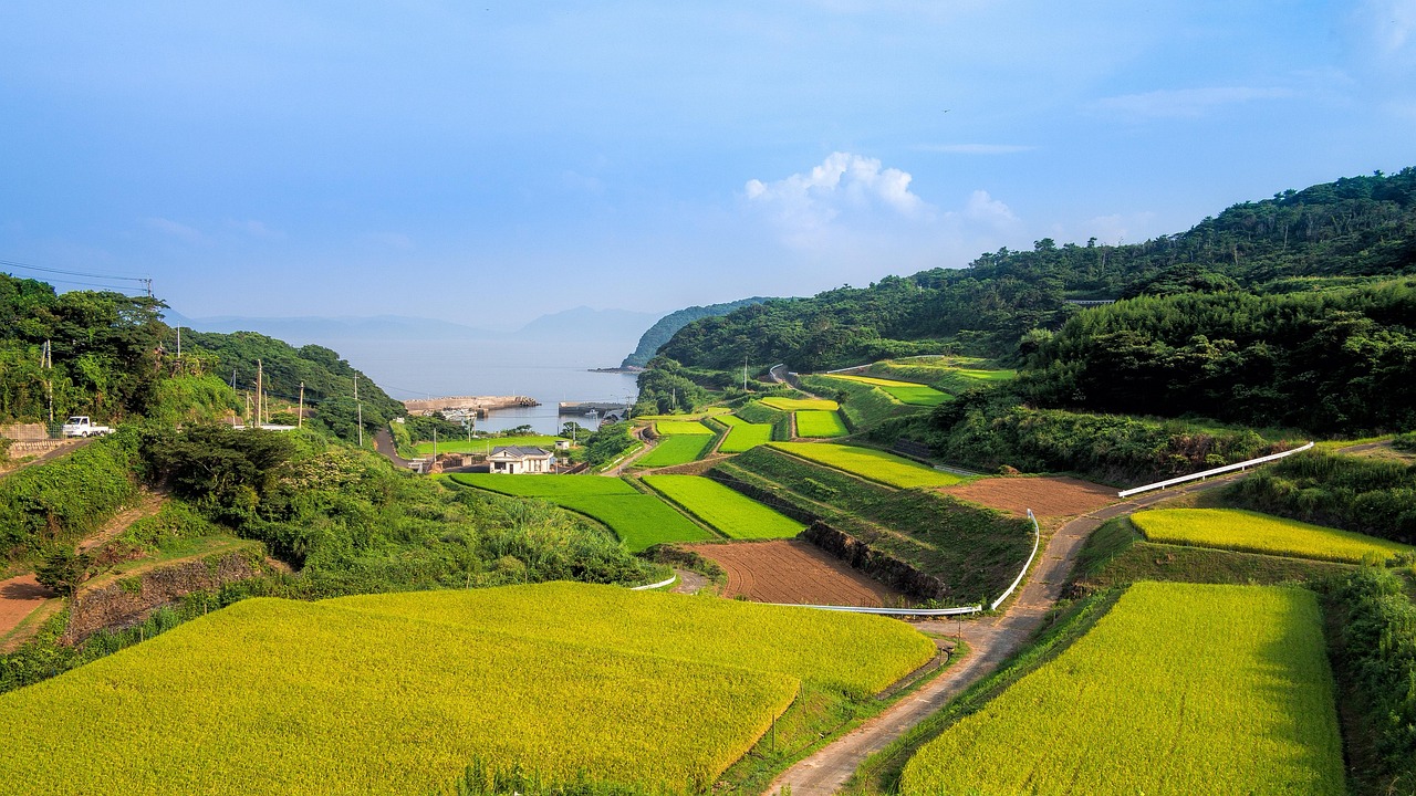 廣西靈山高速建設進展揭秘，最新消息與未來展望