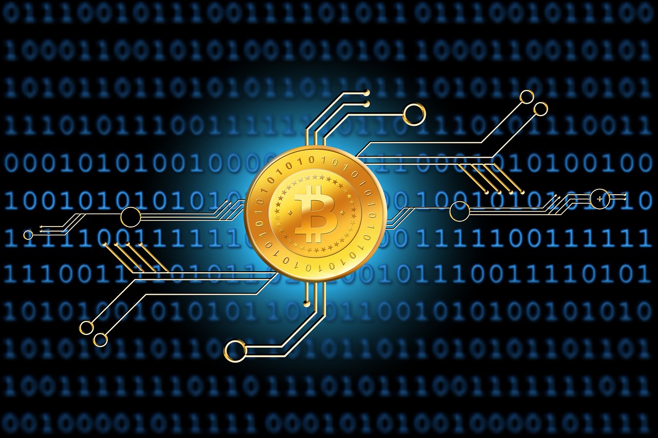 最新傳染病分類及種類概述，全面解析傳染病的世界