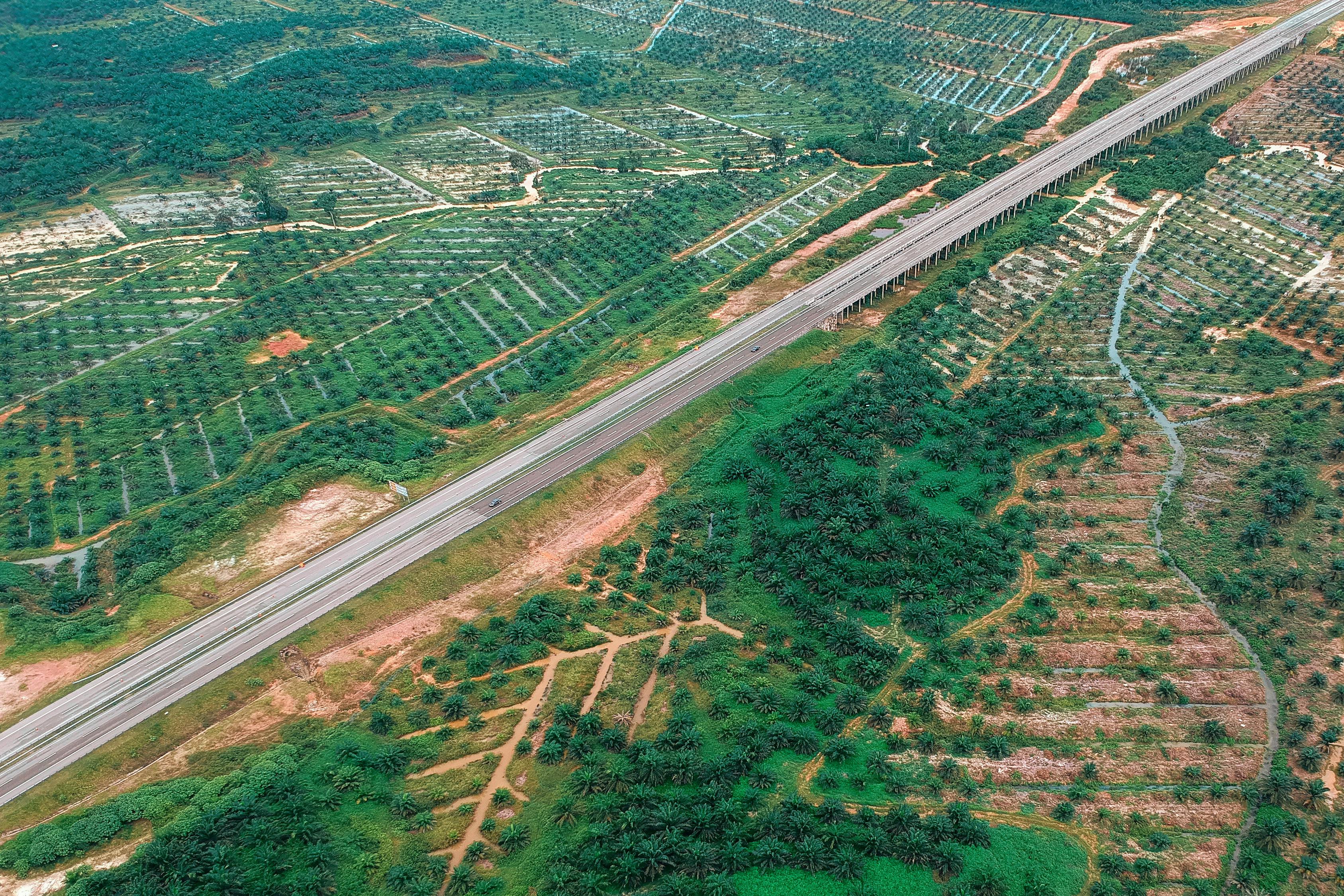 興富高速公路最新進(jìn)展報(bào)告更新，建設(shè)進(jìn)度一覽