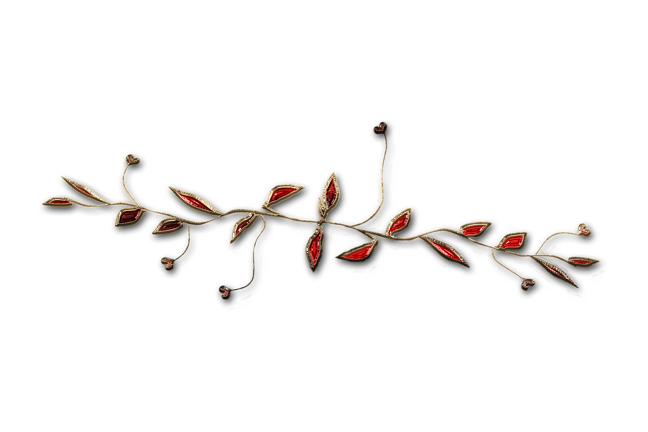 廣西大紅八角產(chǎn)業(yè)蓬勃發(fā)展，前景廣闊，最新消息與動態(tài)