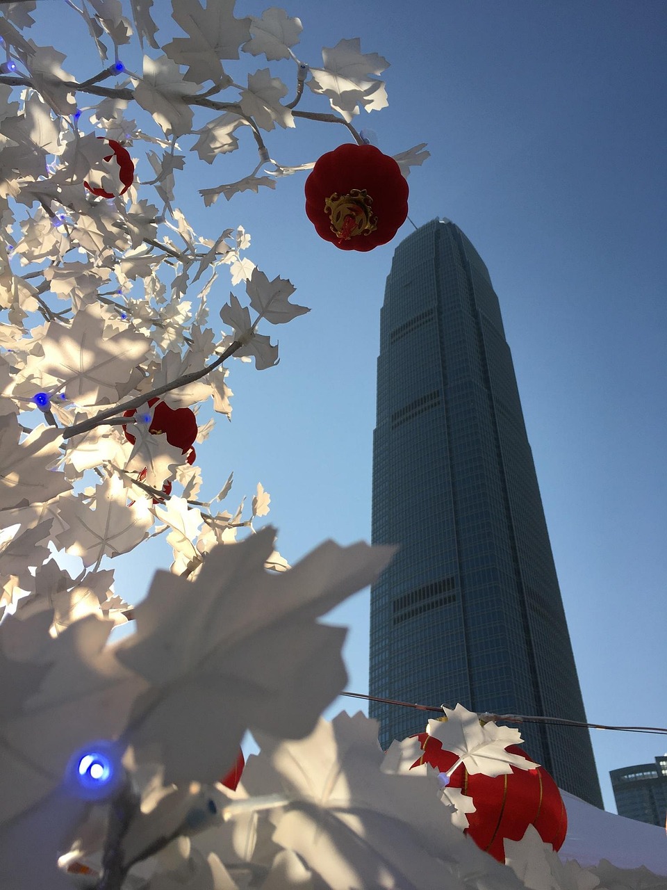 漫漫長夜新版本砍樹探索，全新體驗(yàn)之旅