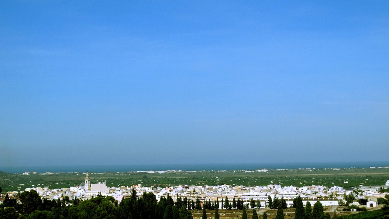 食用油漲價最新動態(tài)，原因分析與市場觀察